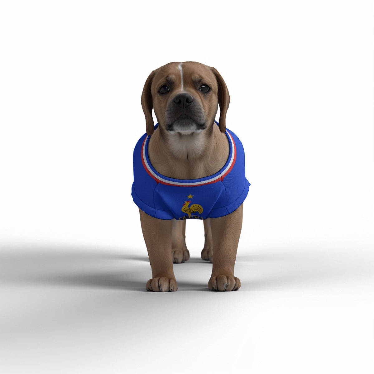 France Home Kit 24/25 - Personalised Football Tank Top for Dog and Cat Costume (with real FC logo option)
