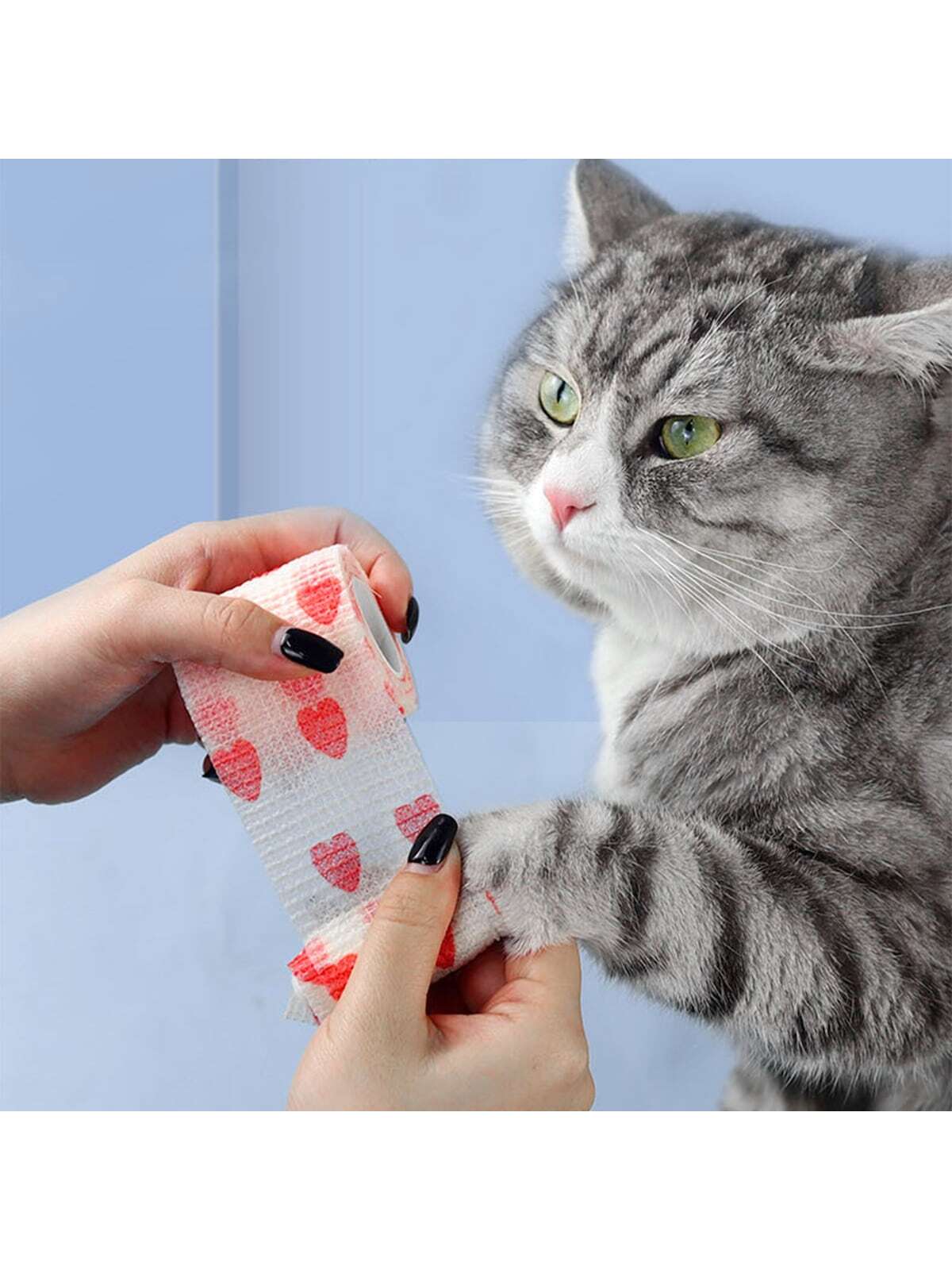 Paw Print Random Pet Bandage For Dog And Cat For Prevent Licking 6pcs