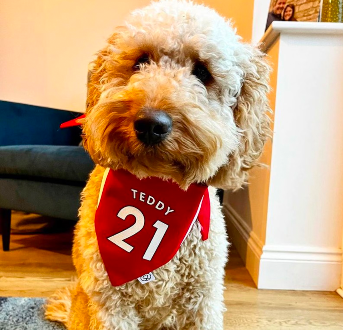 Personalised Pet bandana - National Football Team with number and names