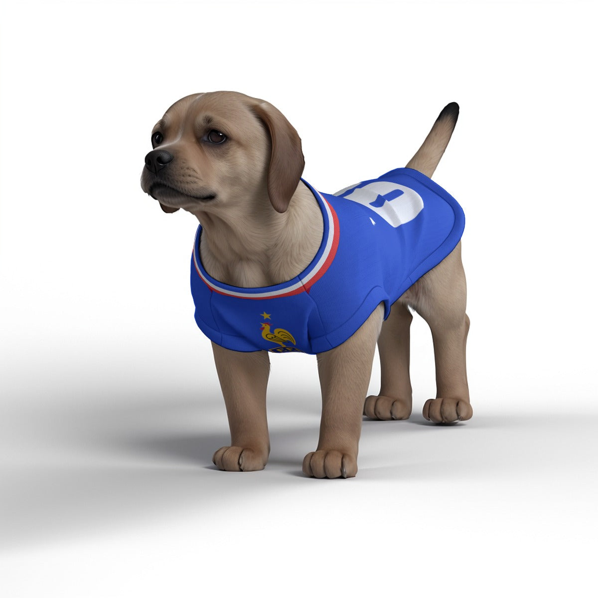 France Home Kit 24/25 - Personalised Football Tank Top for Dog and Cat Costume (with real FC logo option)