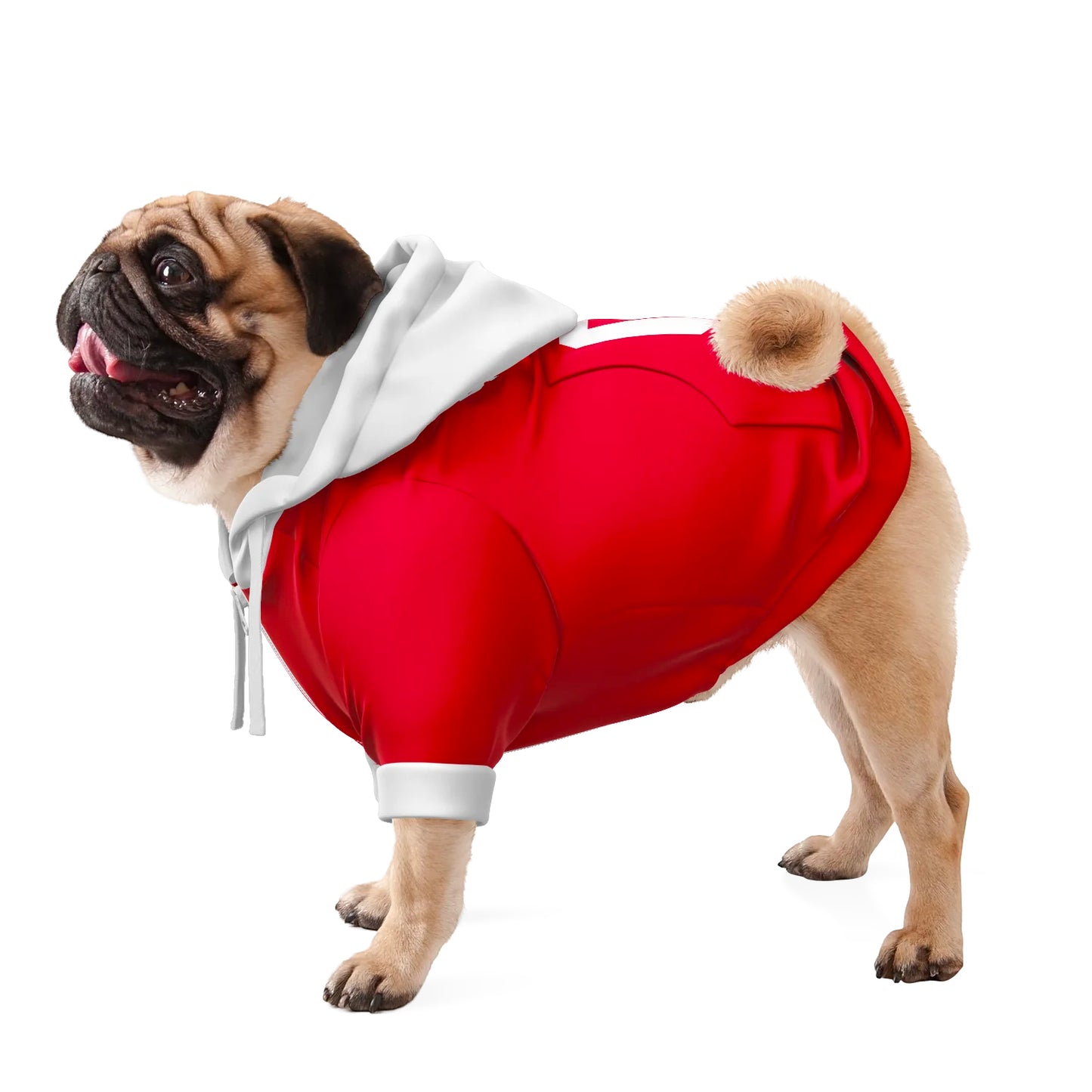 Bayern Munchen FC 24/25 - Personalised Football Hoodie for Dog and Cat Costume (with FC logo option)