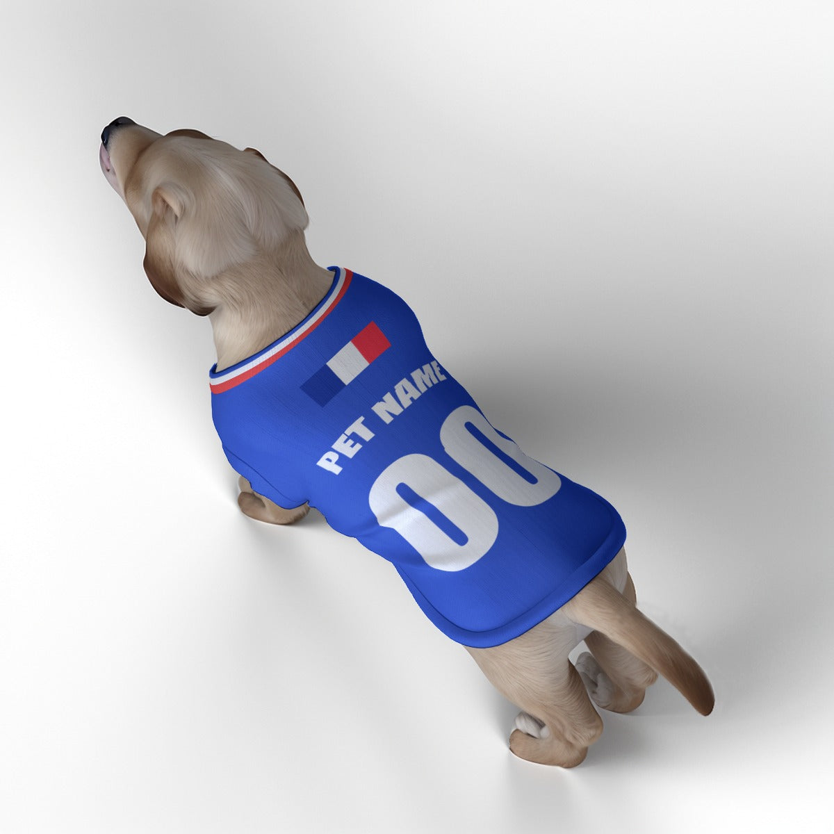 France Home Kit 24/25 - Personalised Football Tank Top for Dog and Cat Costume (with real FC logo option)