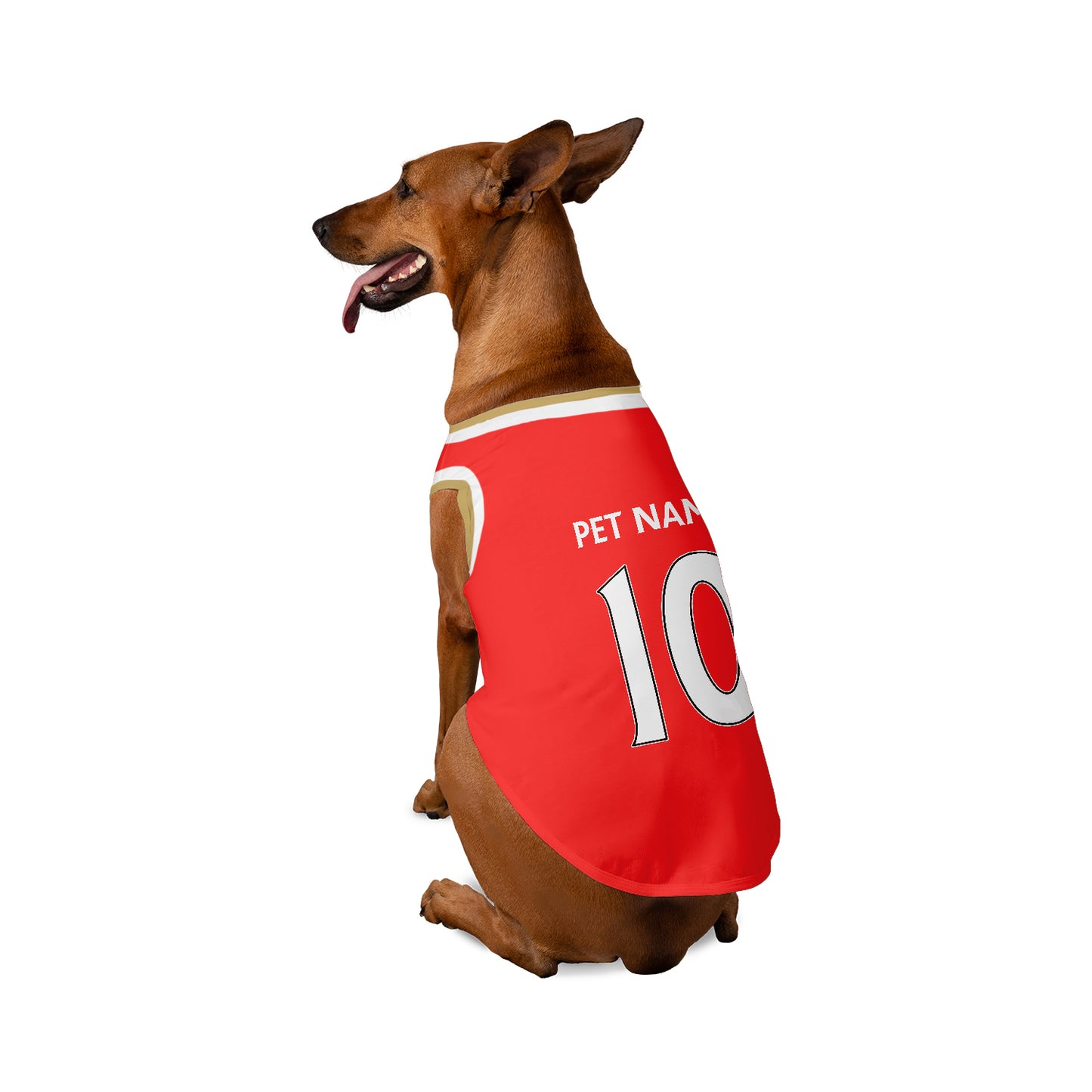 Arsenal - Inspired Personalised Football Tank Top for Dog and Cat Costume (with real FC logo option)