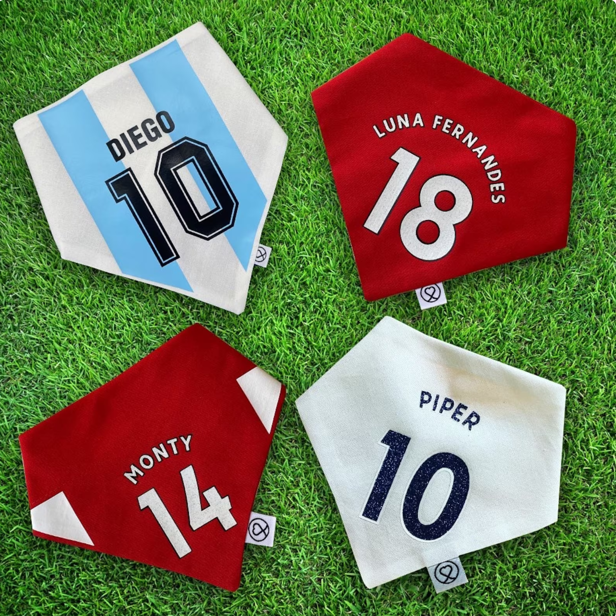 Personalised Pet bandana - National Football Team with number and names