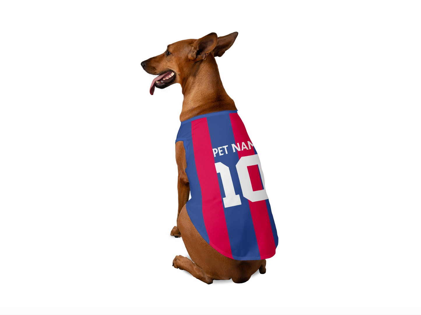 Barcelona FC Dog Jersey 24/25 - Personalised Football Pet Tank Top (Dog Football Costume and Cat Football Costume Gift)