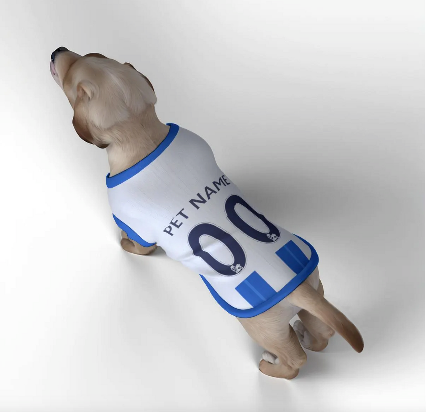 Brighton & Hove Albion FC 25/26 - Personalised Pet Tank Top 24/25 with original FC logo (Dog Football Costume and Cat Football Costume Gift)