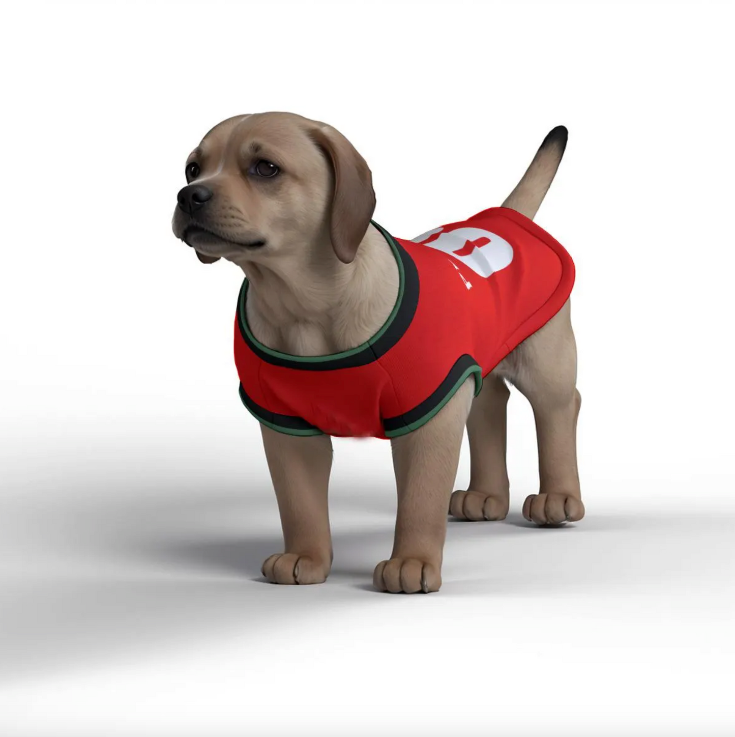 Portugal Home Kit 24/25 - Personalised Football Tank Top for Dog and Cat Costume (with real FC logo option)