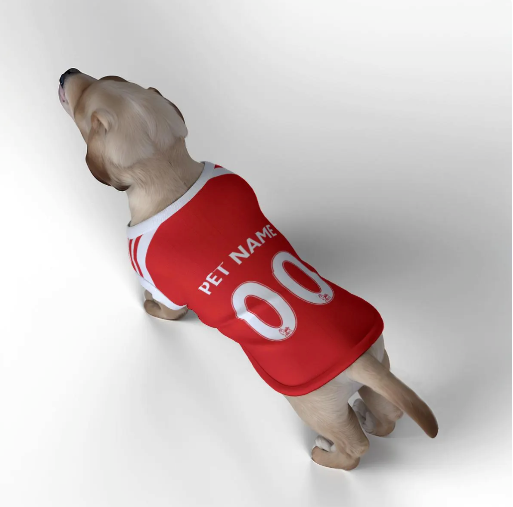 Dog wearing a red jersey with 'PET NAME' and '00' on a white background