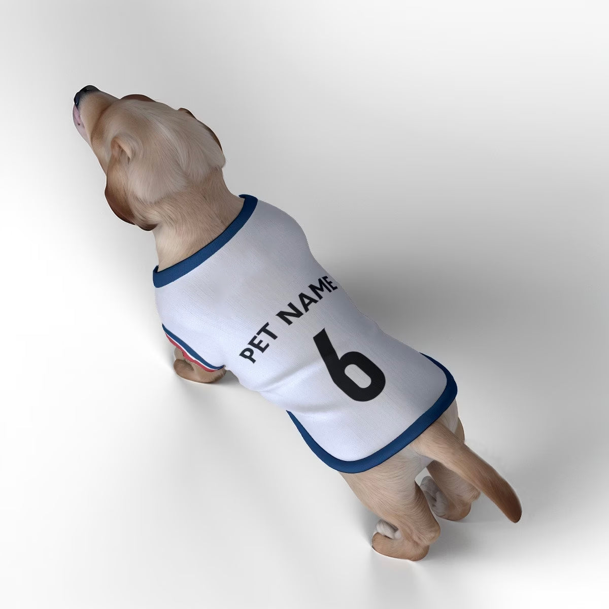 England Football FC Kit 24/25 - Personalised Football Tank Top for Dog and Cat Costume (with real FC logo option)