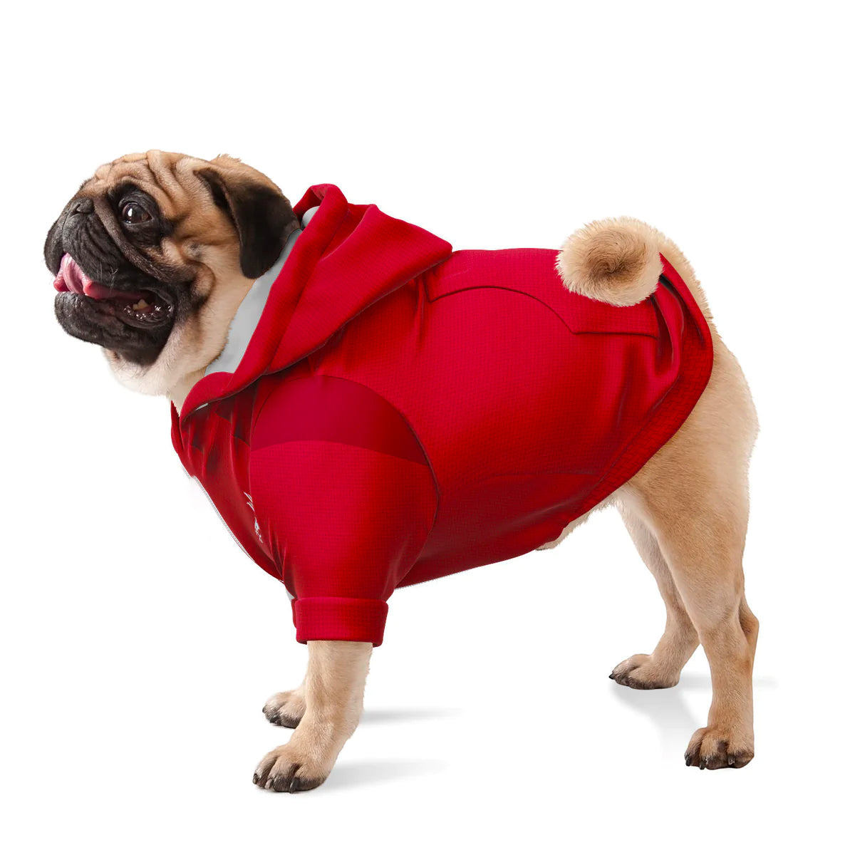 Liverpool FC 24/25 - Personalised Football Hoodie for Dog and Cat Costume (with FC logo option)
