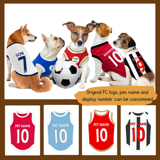 Premier League FC season 25/26 - Personalised Football Tank Top for Dog and Cat