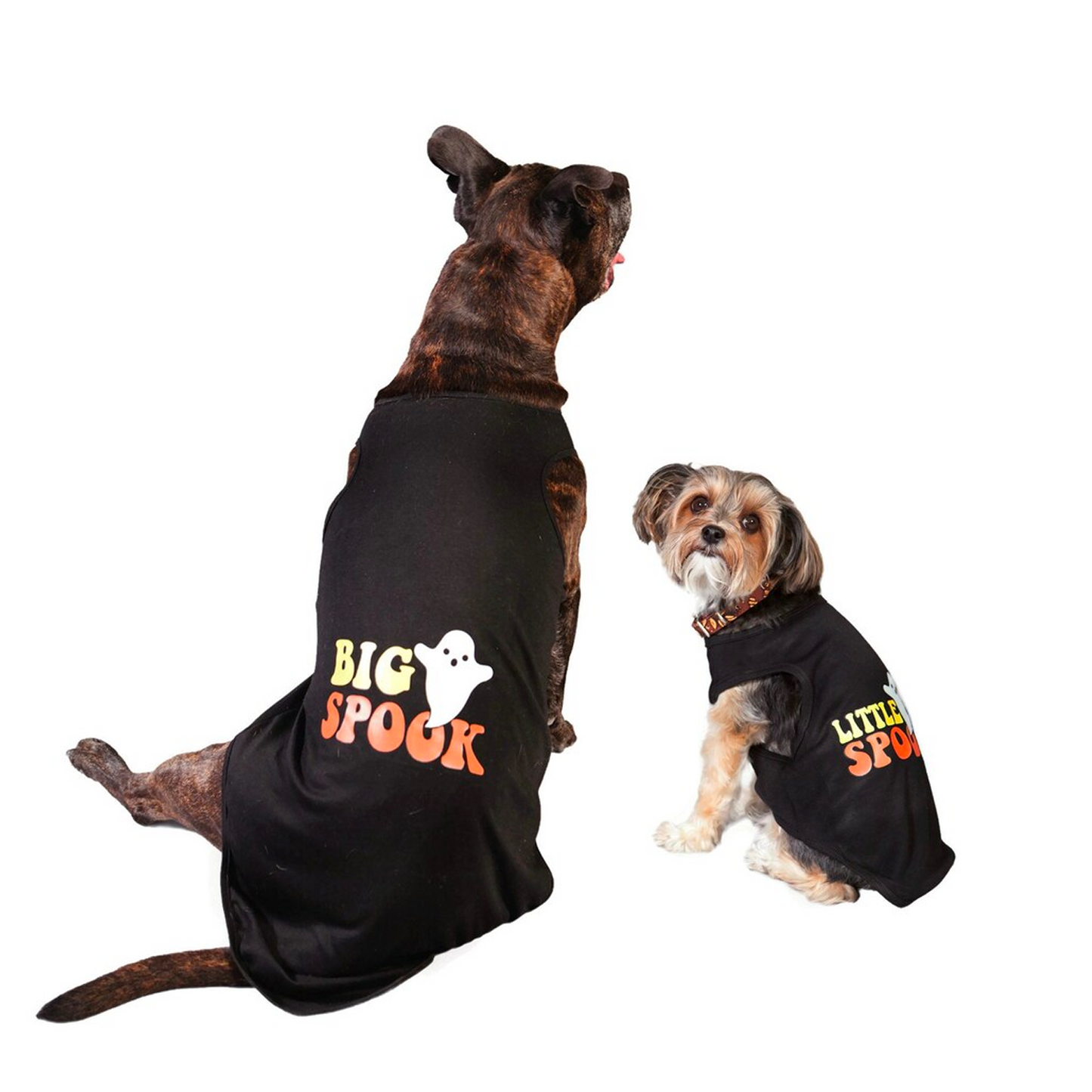 Halloween - Personalised Tank Top for Dog and Cat