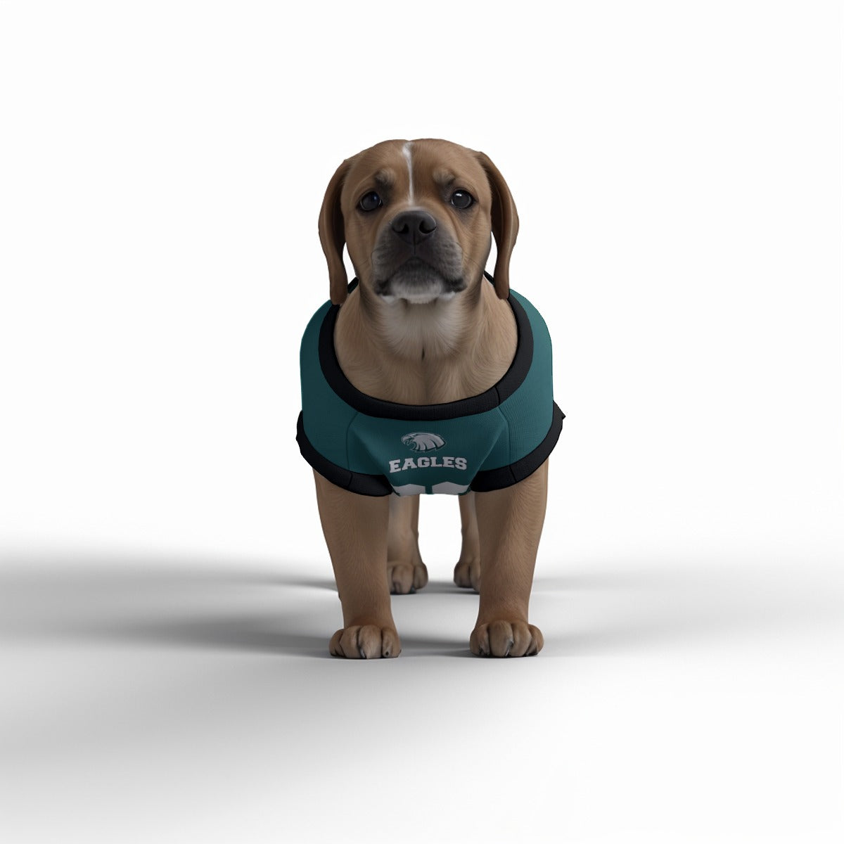 Philadelphia Eagles Dog Jersey - Personalised American Football Tank Top for Dog and Cat Costume (with real FC logo option)