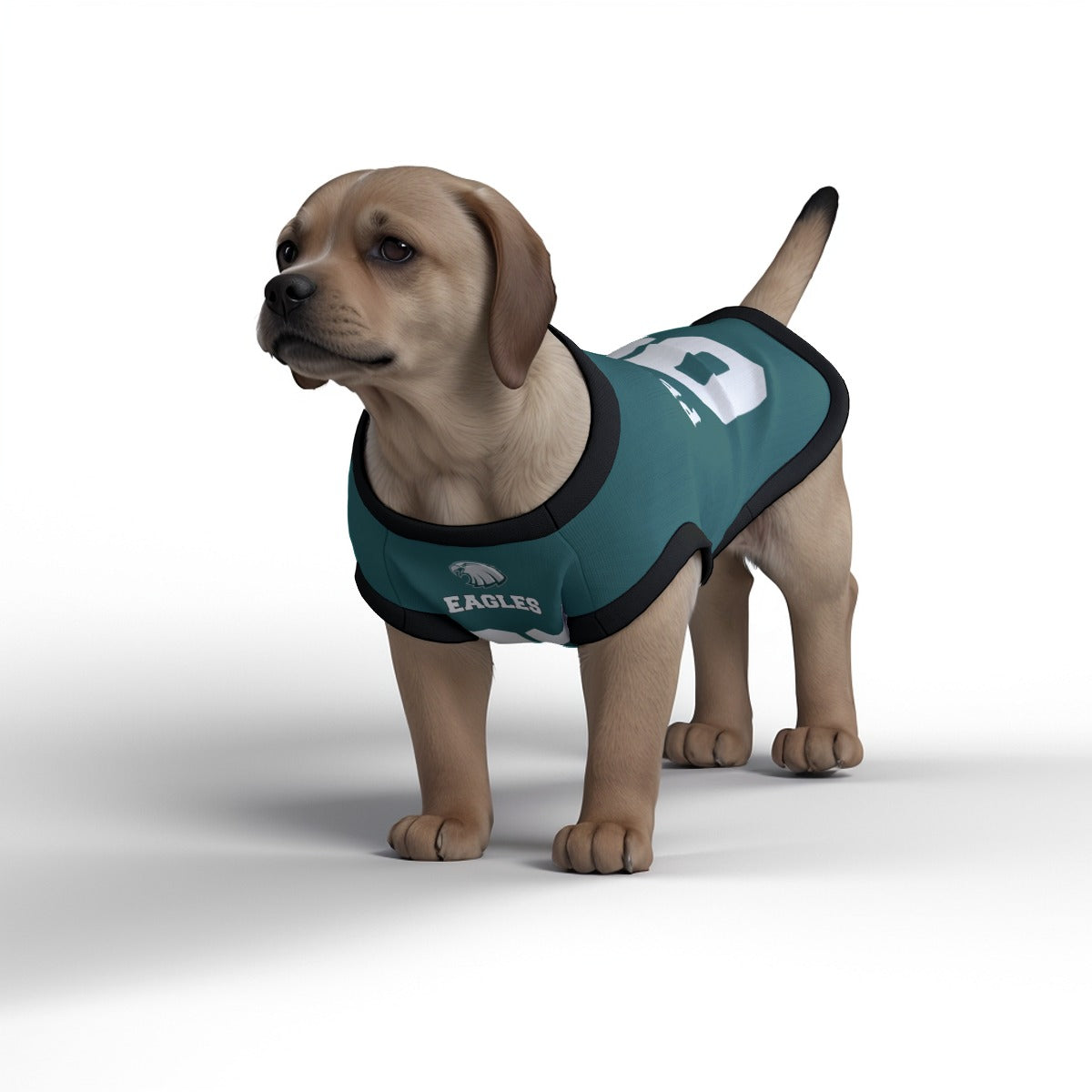 Philadelphia Eagles Dog Jersey Personalised American Football Tank Top for Dog and Cat Costume with real FC logo option