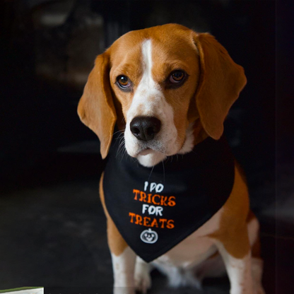 Halloween - Personalised Pet Bandana (Dog and Cat)