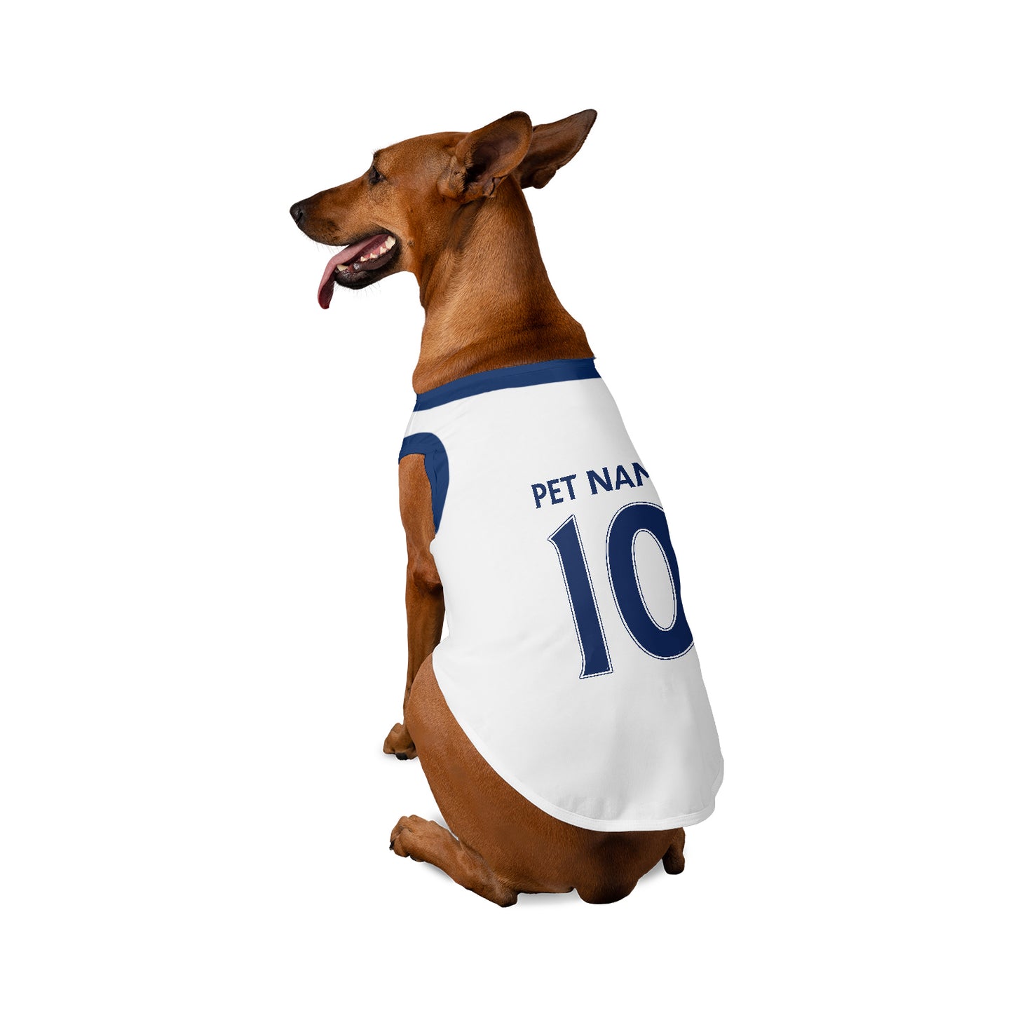 Tottenham Hotspur Kit FC 23/24 - Personalised Football Tank Top for Dog and Cat Costume (with real FC logo option)