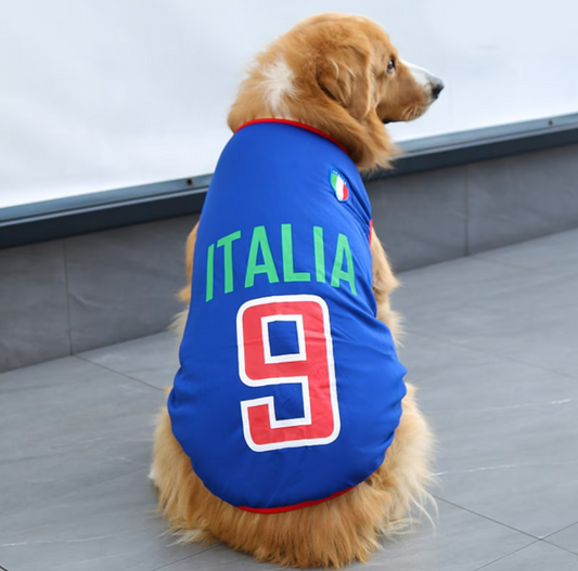 Personalised Dog/Cat Italy Football Shirt