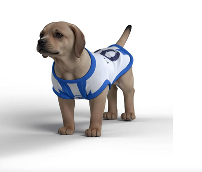 Brighton & Hove Albion FC - Personalised Pet Tank Top 24/25 with original FC logo (Dog Football Costume and Cat Football Costume Gift)