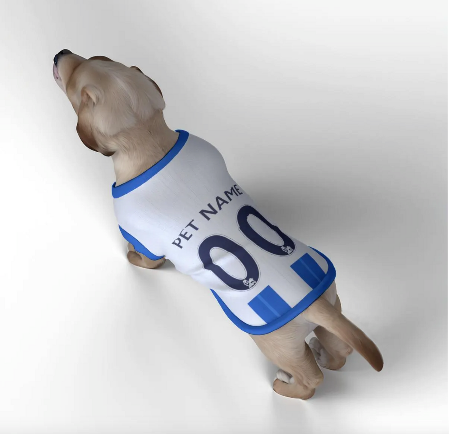 Brighton & Hove Albion FC - Personalised Pet Tank Top 24/25 with original FC logo (Dog Football Costume and Cat Football Costume Gift)