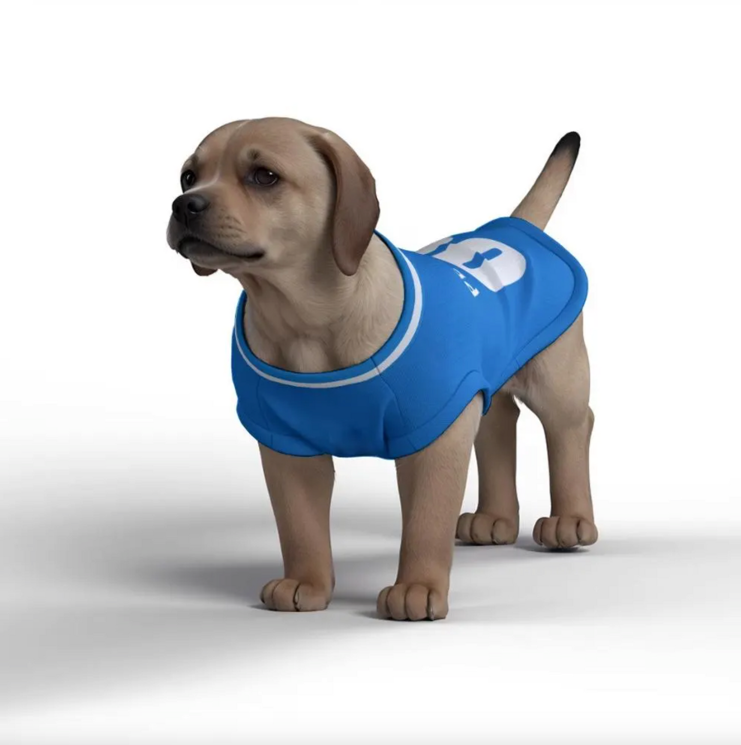 Italy Home Kit 24/25 - Personalised Football Tank Top for Dog and Cat Costume (with real FC logo option)