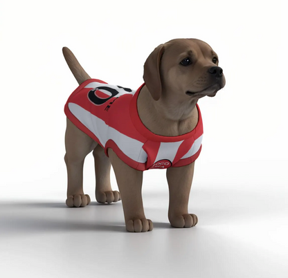Sunderland A.F.C 25/26 Personalised Football Tank Top for Dog and Cat (with real FC logo option)