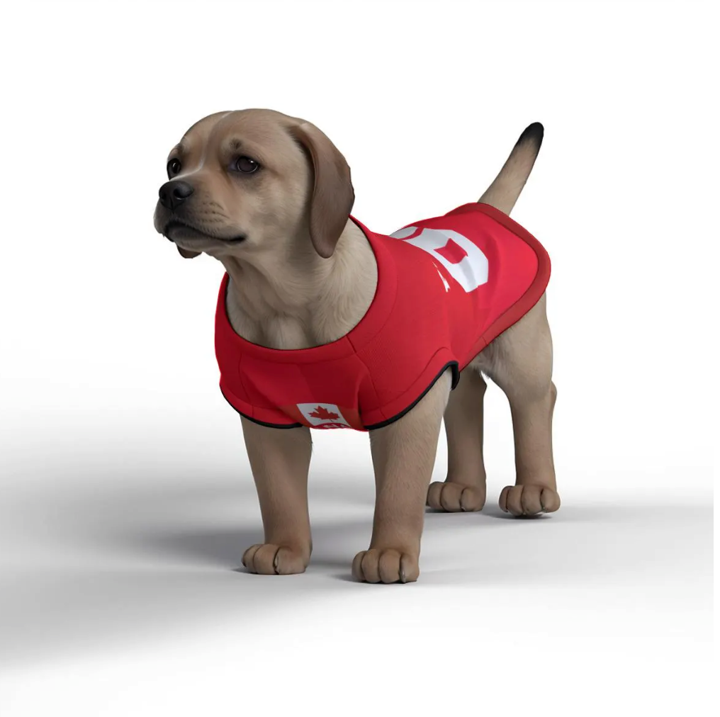 Canada Football Home Kit 25/26 - Personalised Football Tank Top for Dog and Cat Costume (with real FC logo option)