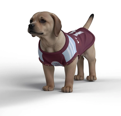 Aston Villa FC 26/27 Personalised Pet Tank Top with original FC logo (Dog Football Costume and Cat Football Costume Gift)